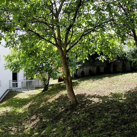 Apartament Mysliwska Appartement